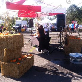 faux hay bales