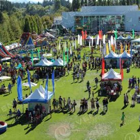 Fun picnic with inflatables and more.