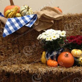 Decor with hay bales, gourds, floral and more.