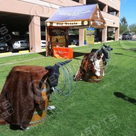 Custom Western Roping