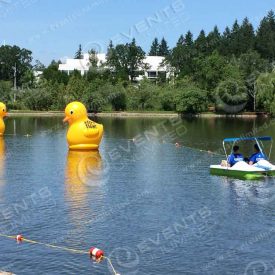 Giant Floating Rubber Duckies Installation Branded.