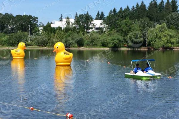 Giant Floating Rubber Duckies Installation Branded.