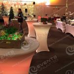 Event Design holiday decor