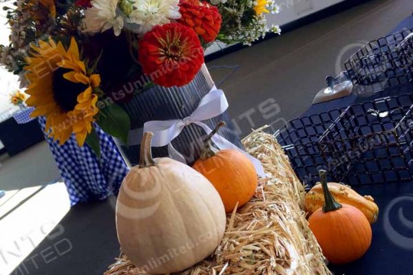 Harvest Decor installation for oktoberfest themed event.