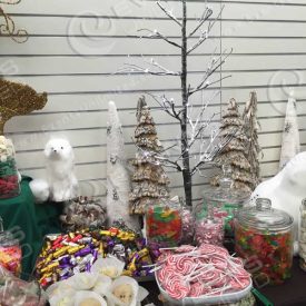 A winter forest themed candy station.