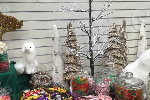 A winter forest themed candy station.