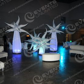 scenica design and event rental