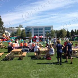 One of the hundreds of picnics we have serviced.