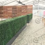 Boxwood Hedges - Portland Event Decor